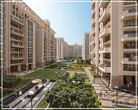 SS Group - The Hibiscus